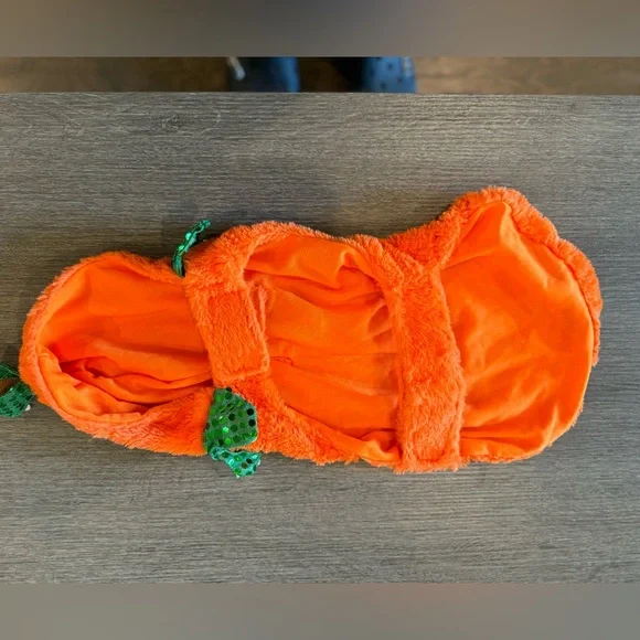 Pumpkin pet costume, Medium, Halloween - Picture 5 of 6